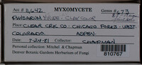 Image Associated With the Occurence